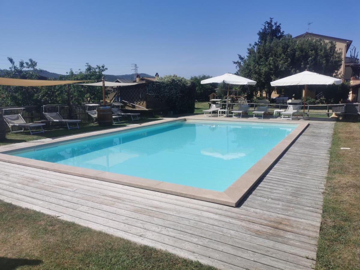 Podere Serena 卡斯塔涅托卡尔杜奇 外观 照片