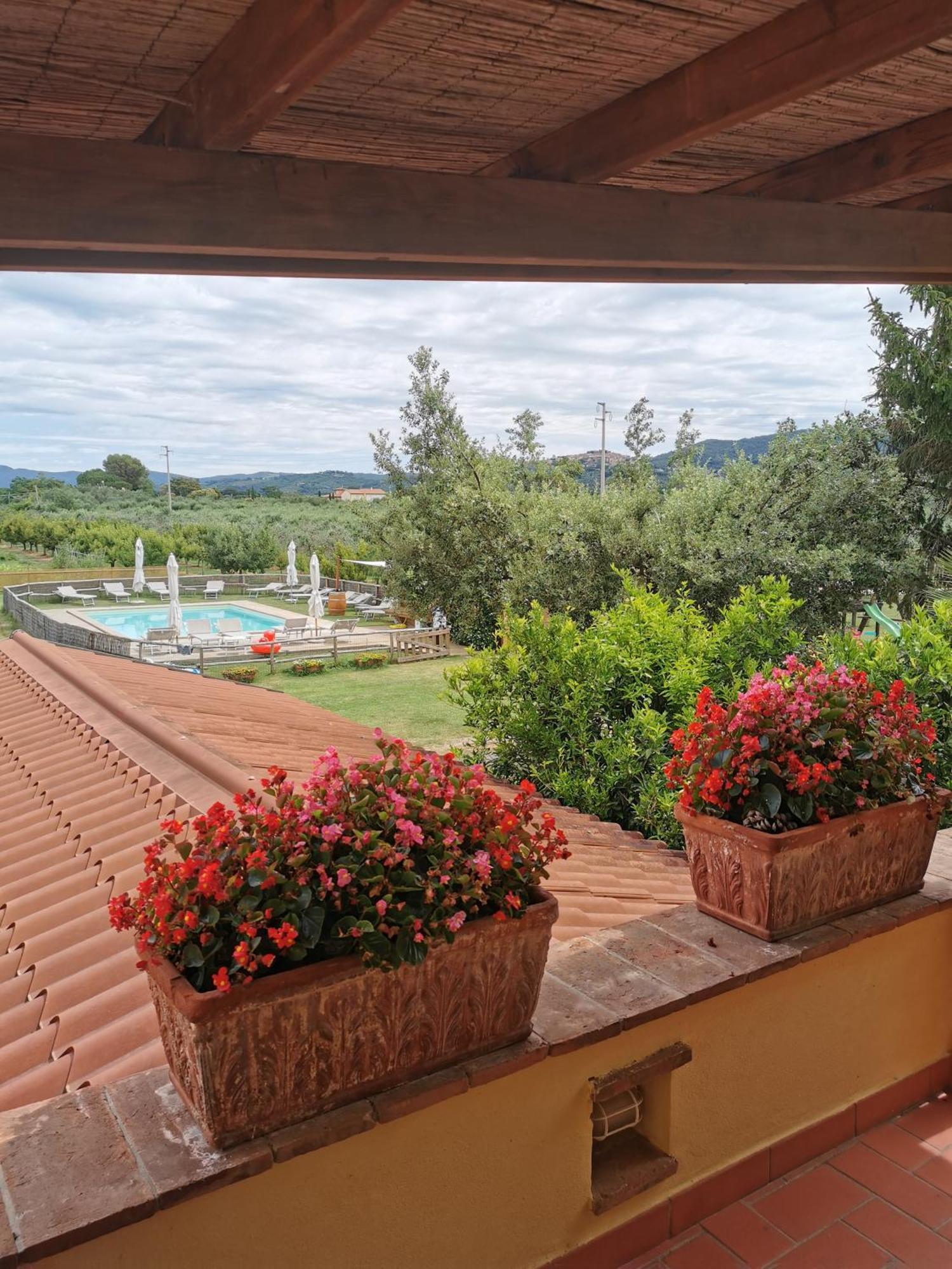 Podere Serena 卡斯塔涅托卡尔杜奇 外观 照片