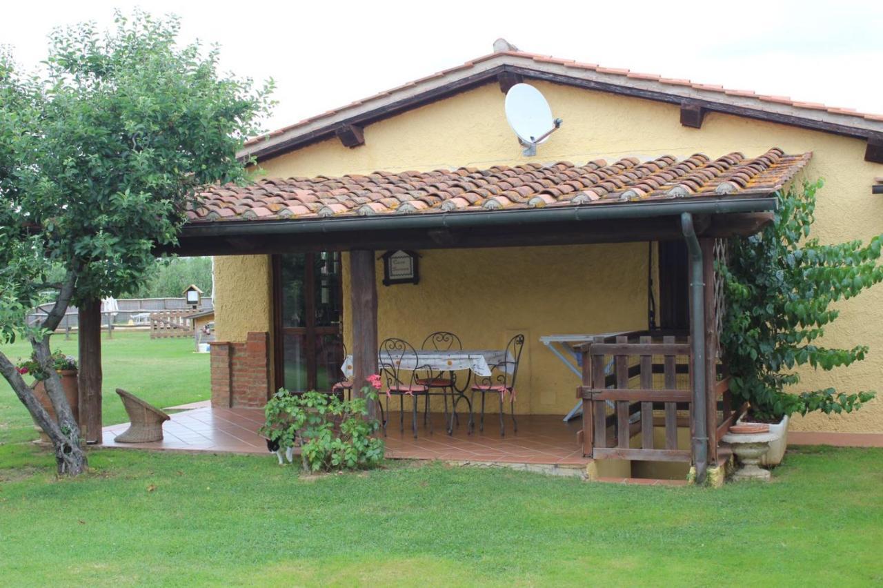 Podere Serena 卡斯塔涅托卡尔杜奇 外观 照片