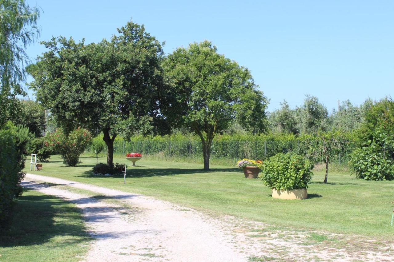 Podere Serena 卡斯塔涅托卡尔杜奇 外观 照片